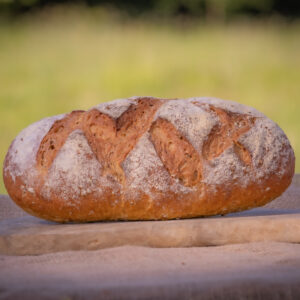 Malted Grain Bloomer (800g)