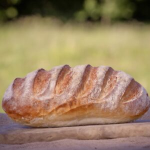White Bloomer (800g)