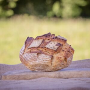 Malted Grain Sourdough Boule (700g)